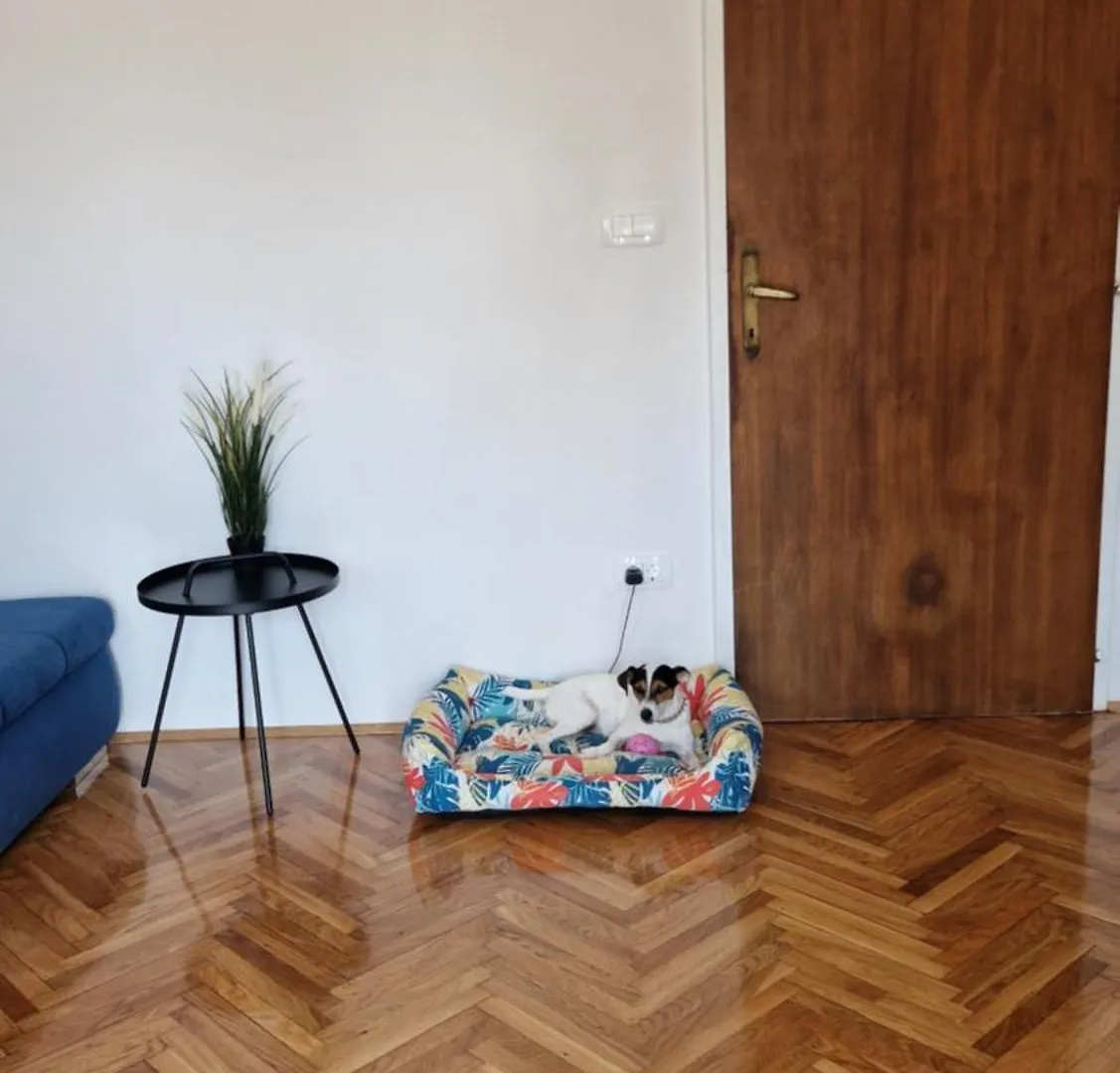 Apartment With E-Cars Station Selce